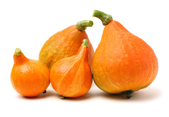 Orange pumpkin on white background 