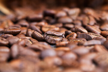 coffee beans for the production of delicious coffee