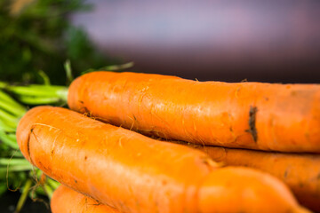 Bunch of carrots on the wooden table. Gardening summer bio concept.