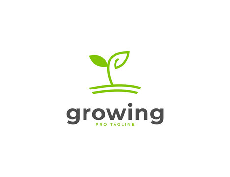 Growing seed with green leaves farm logo