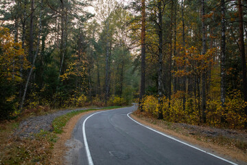 Winding road curves through an autumn forest