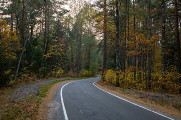 Fototapeta na wymiar Winding road curves through an autumn forest