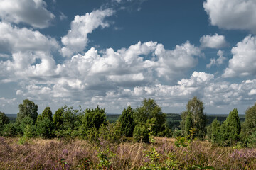 Blick über die Heidelandschaft bei wolkigem Himmel