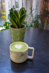 Hot green tea with milk in coffee shop 