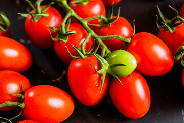 Close-up shot of fresh bio tomatoes. BIO vegetables from vilage garden.