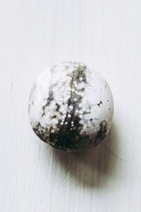 Galet pierre roulée polie jaspe océan sur un fond blanc - Minéral naturel