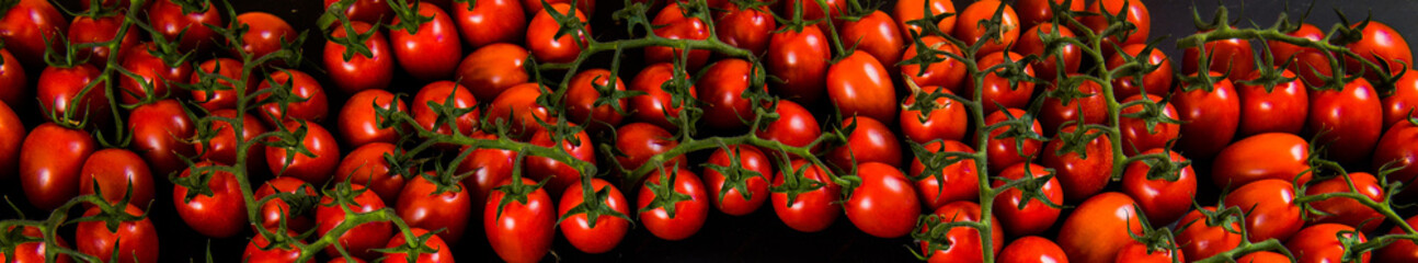 Tomatoes on wood background. Close-up of bio fresh vegetables. Group of summer tomatoes. Space for text top view