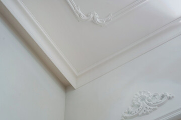 Detail of corner ceiling and walls with intricate crown moulding