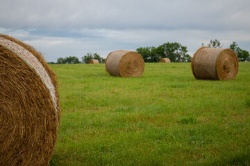 Heuballen auf einer Wiese