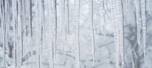 Fototapeta premium Icicles hanging on the roof. Winter nature abstract art. Physical phenomenon, solid form of water.