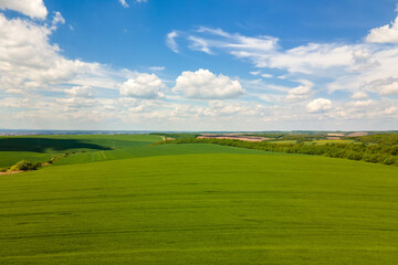 Aerial landscape view of green cultivated agricultural fields with growing crops on bright summer day.