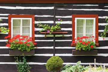 Fototapeta na wymiar Traditional european rural wooden house , windows with geranium flowers