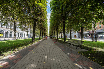  a tree-lined avenue in Riga, Latvia