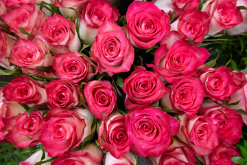 Obraz na płótnie Canvas Detail of a bunch of red roses