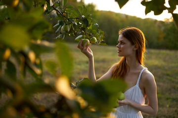 red-haired woman in a field near apple-tree fruits