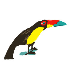 Toucan bird like kid`s hand drawn art on white. Wild black bird with big beak. Bird of tropical forest, jungle of South America. Doodle funny cartoon vector style.