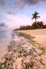 The beach in Le Morne Brabant at sunset, Mauritius