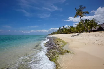 Photo sur Plexiglas Le Morne, Maurice The beach in Le Morne Brabant, Mauritius