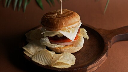 Food Photography (Burger) 