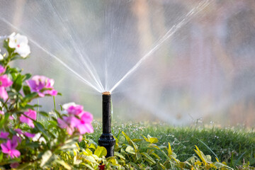 Plastic sprinkler irrigating flower bed on grass lawn with water in summer garden. Watering green vegetation duging dry season for maintaining it fresh. - obrazy, fototapety, plakaty