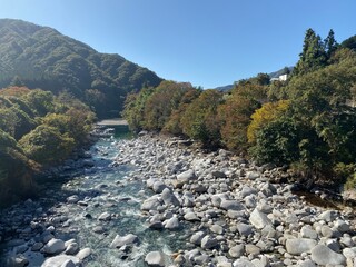 渡瀬川