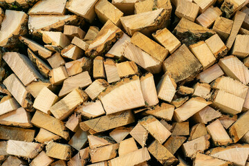 Woodworking industry waste close-up.
