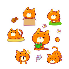 set of funny cat animals