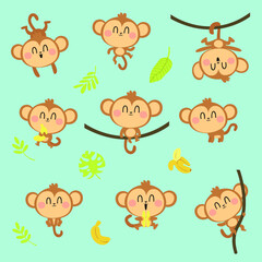 monkey animals set