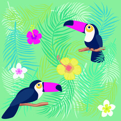 tropical toucan bird on a branch