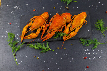 Red boiled crayfish with dill and spices on black slate background. Top view