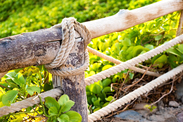 Closeup of old wooden fence covered with cloth ropes and green vegetation.