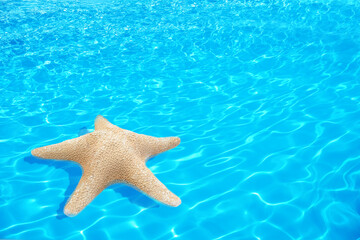 Fototapeta na wymiar Beautiful sea star on clear blue water