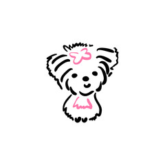 Yerkshire Terrier. Cute dog with a pink bow. Doodle line style, freehand drawing.The isolated object on a white background. Drawing a black line with colored elements. Vector element for simple design