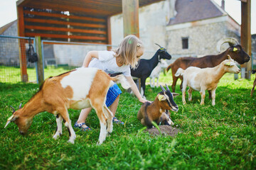 Naklejka na ściany i meble Adorable little girl playing with goats at farm