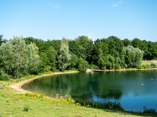 View to the lake and trees