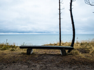 Wooden bench on the beach with trees and sea in background, cloudy day.