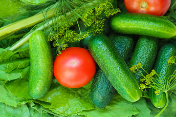 Cucumbers and tomatoes preparation for pickling, horseradish, dill, garlic. Make homemade pickles. Pickles background