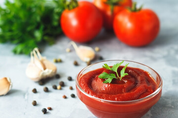 Tomato ketchup sauce with garlic, spices and herbs with tomatoes in a glass bowl on gray stone background.