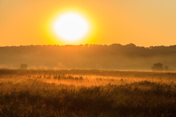 Beautiful sunrise over a foggy meadow