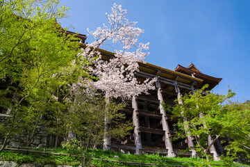 京都　清水寺の舞台と桜