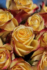 Fototapeta na wymiar bouquet of yellow roses