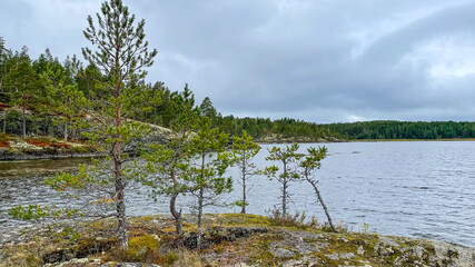 Islands with forest and rocks on Lake Ladoga