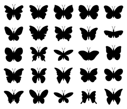 vector beautiful butterfly insect icons isolated on white background. silhouette of tropical butterflies. summer nature illustration