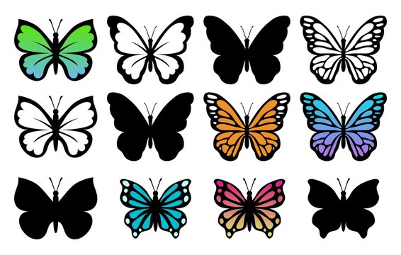 vector collection of beautiful butterfly insects isolated on white background. silhouette of colorful tropical butterflies. summer nature illustration
