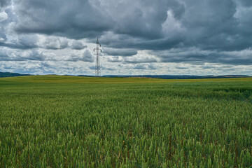 Fototapeta na wymiar Clouds formation over a wheat field 