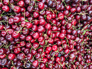 Red cherry with stems. Close-up. Sweet cherry with stems and leaves. Fruit background