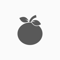 orange icon, fruit vector illustration