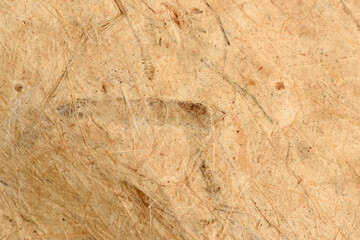 Old paper texture and surface on nature background.
