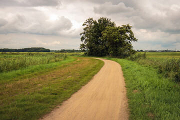 Fototapeta na wymiar Curved sandy path through a Dutch peat meadow area in the province of North Brabant. It is summer but the sky is overcast.