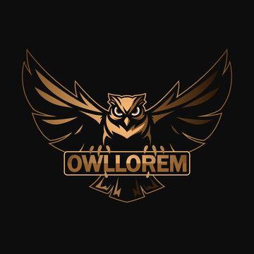 Black and gold owl logo template